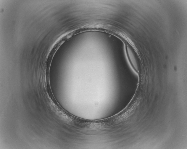 X0000067950984200604201427