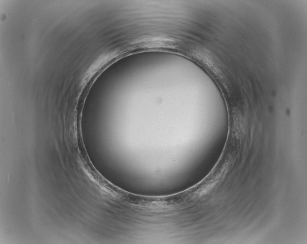 X0000067950986200604201427