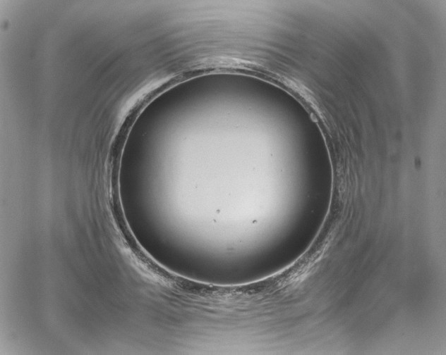 X0000067950987200604201427