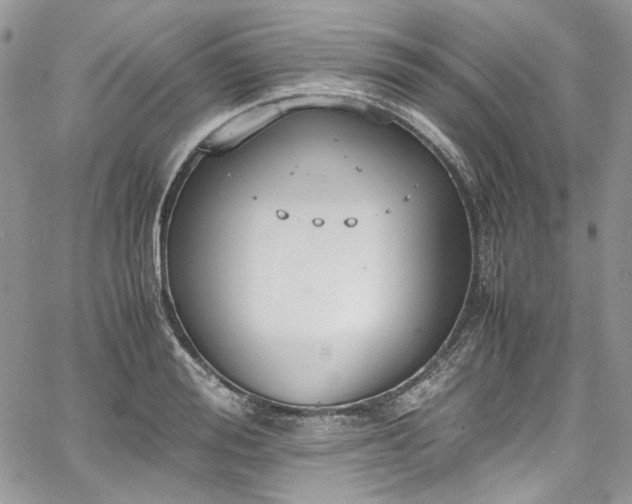 X0000067950988200604201427