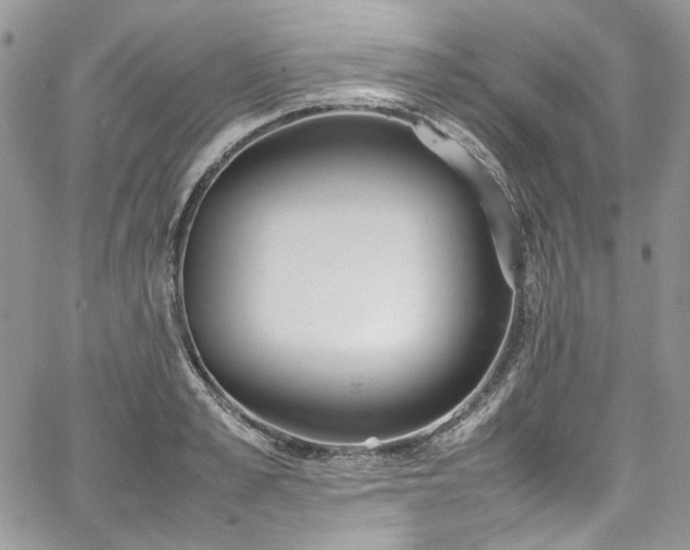 X0000067950989200604201427