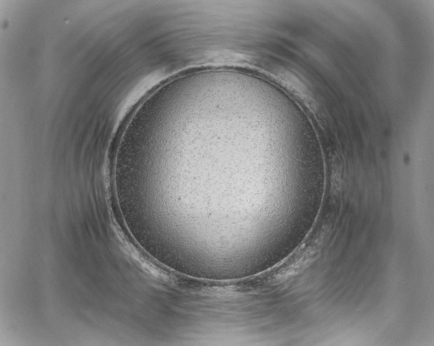 X0000067950990200604201427