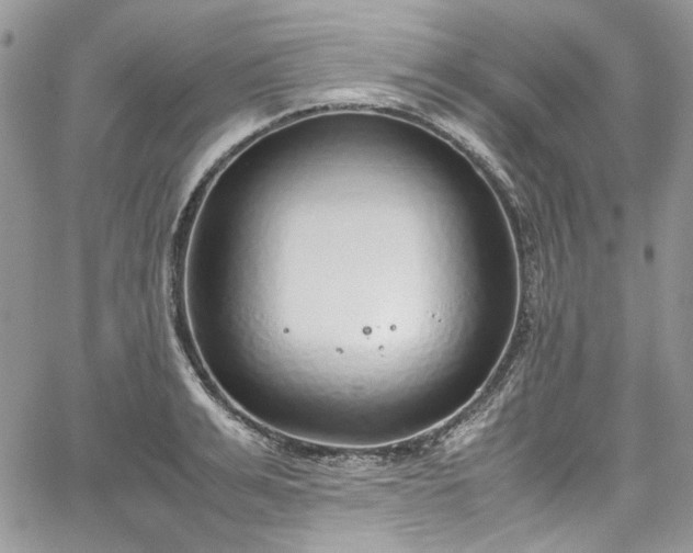 X0000067950991200604201426