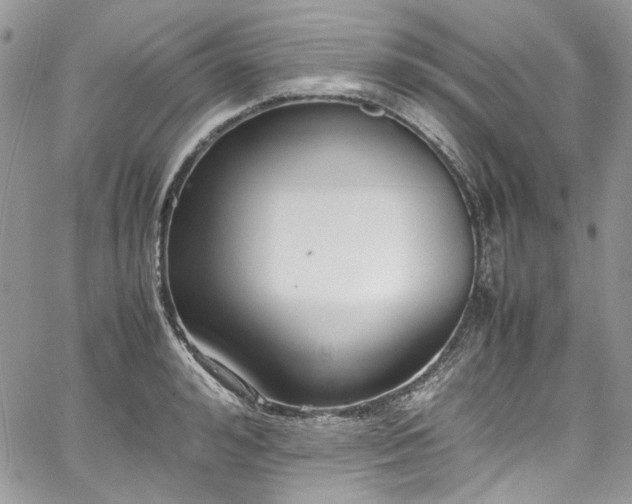 X0000067950992200604201426