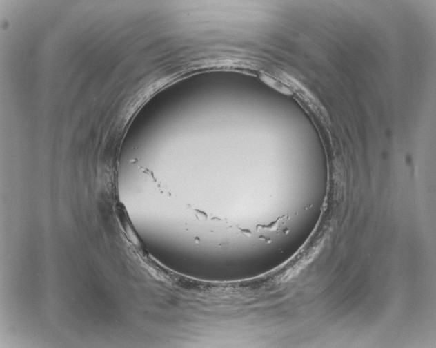 X0000067950993200604201426