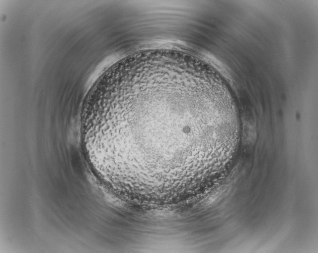 X0000067950994200604201426