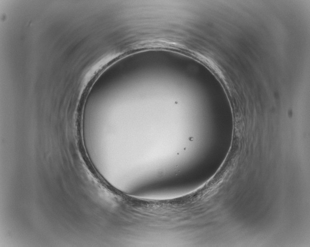 X0000067950995200604201426