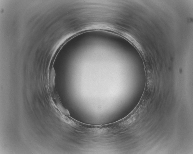 X0000067950996200604201426