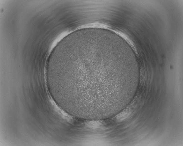 X0000067950998200604201426