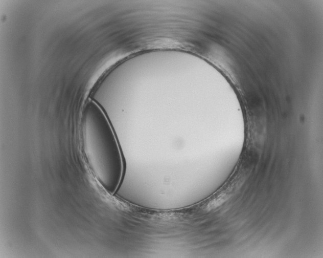 X0000067951000200604201426