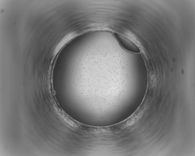 X0000067951002200604201426