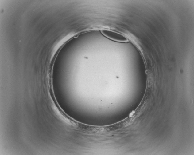 X0000067951003200604201426