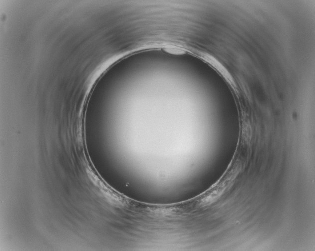 X0000067951004200604201426