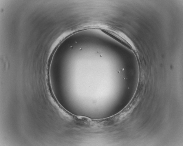 X0000067951005200604201426