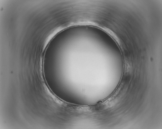 X0000067951006200604201426