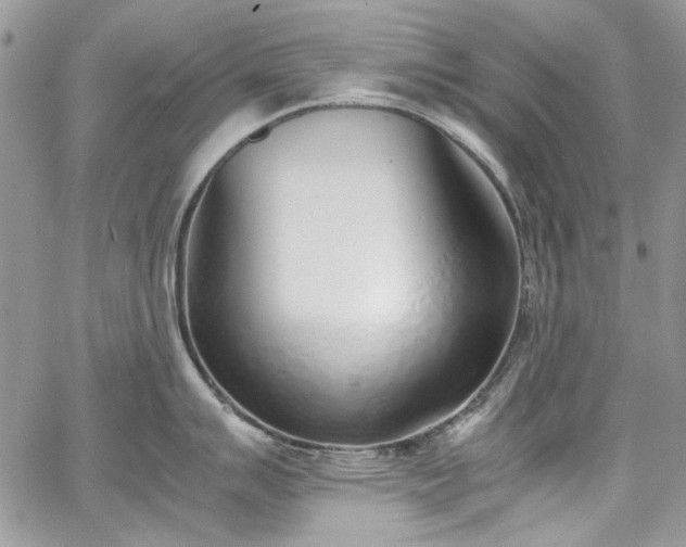 X0000067951007200604201426