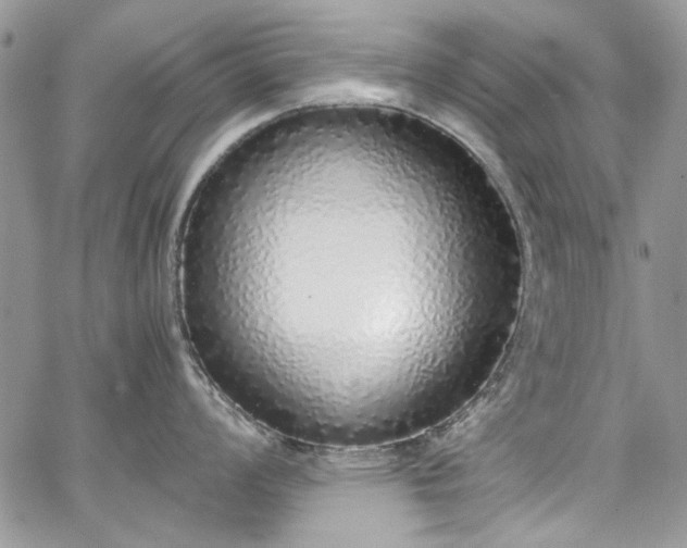 X0000067951008200604201426