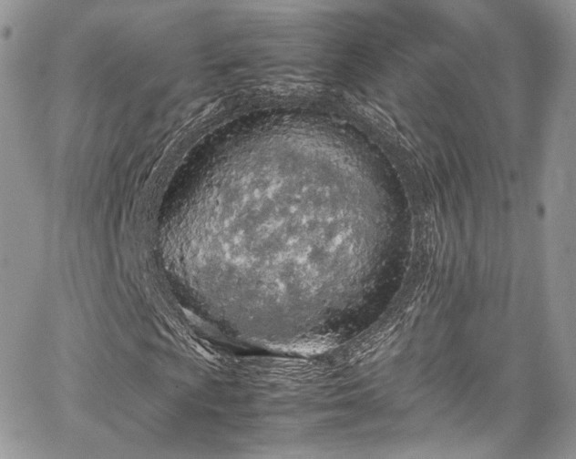 X0000067951009200604201425