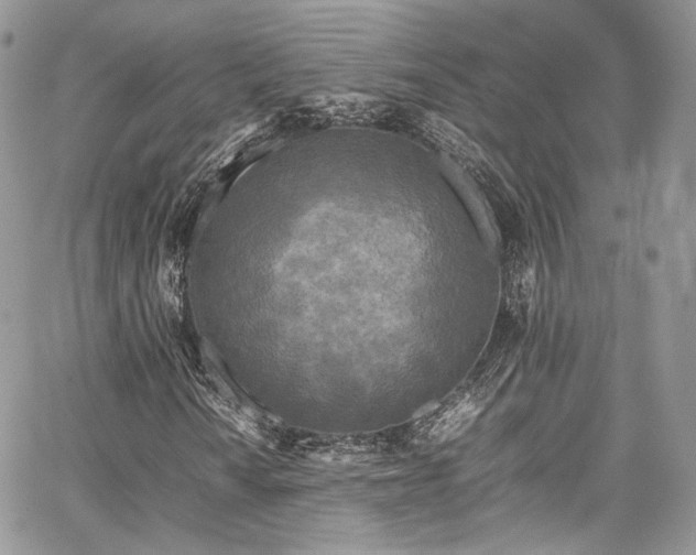 X0000067951010200604201425