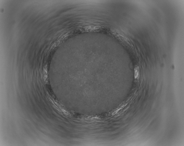 X0000067951011200604201425