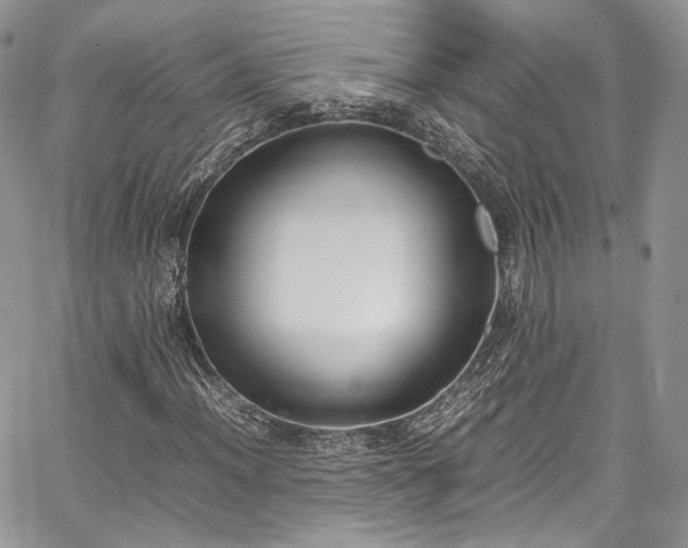 X0000067951012200604201425