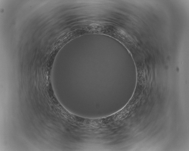 X0000067951013200604201425