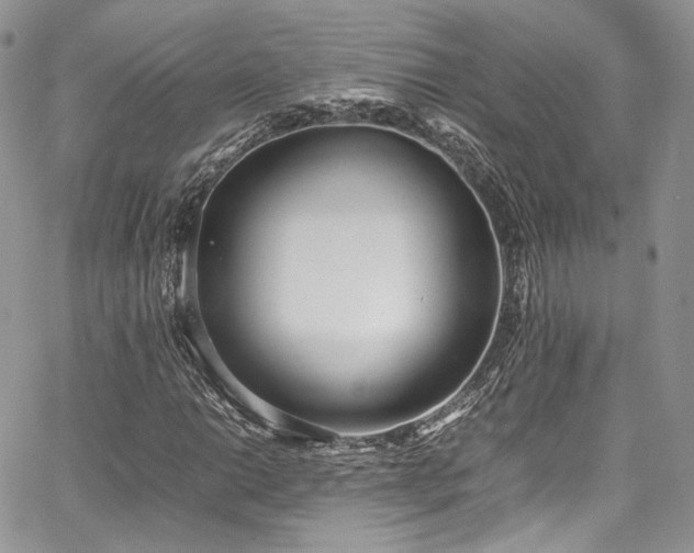 X0000067951014200604201425