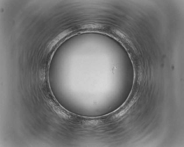 X0000067951017200604201426