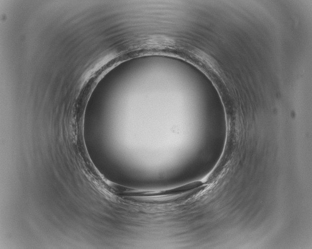 X0000067951018200604201426