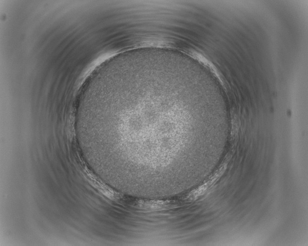 X0000067951019200604201426