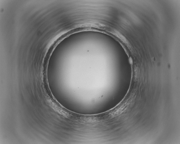 X0000067951020200604201426