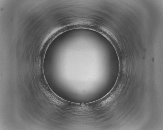 X0000067951021200604201426