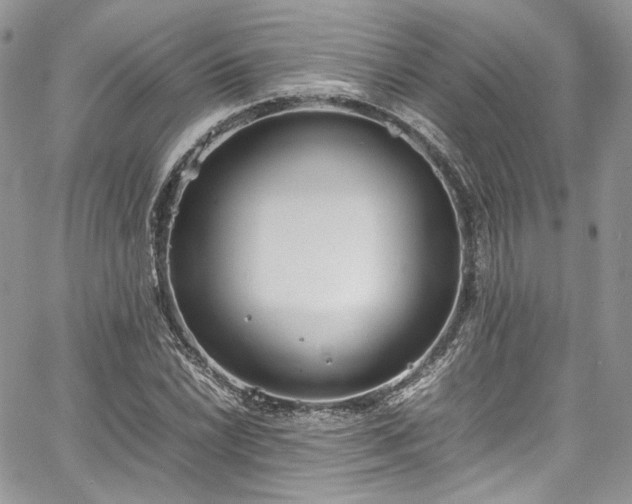 X0000067951022200604201426