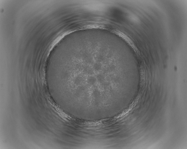 X0000067951023200604201426