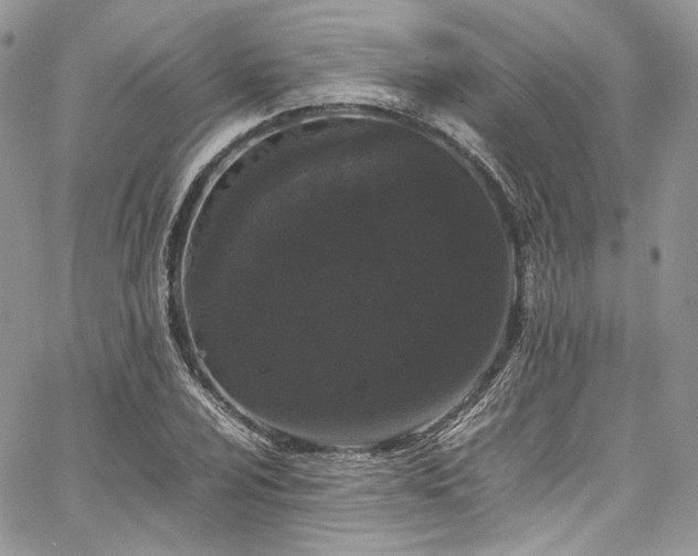 X0000067951024200604201426