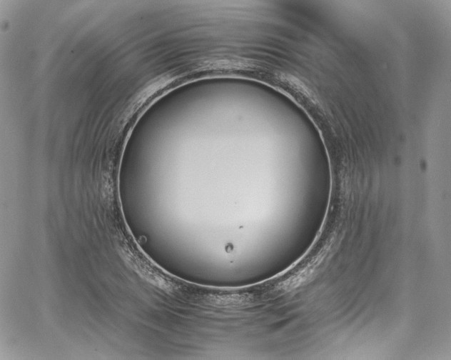 X0000067951025200604201426