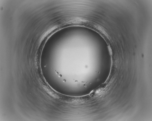 X0000067951026200604201426