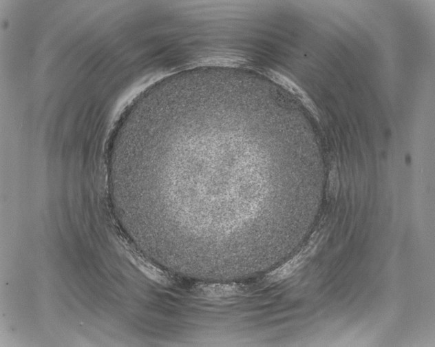 X0000067951027200604201426