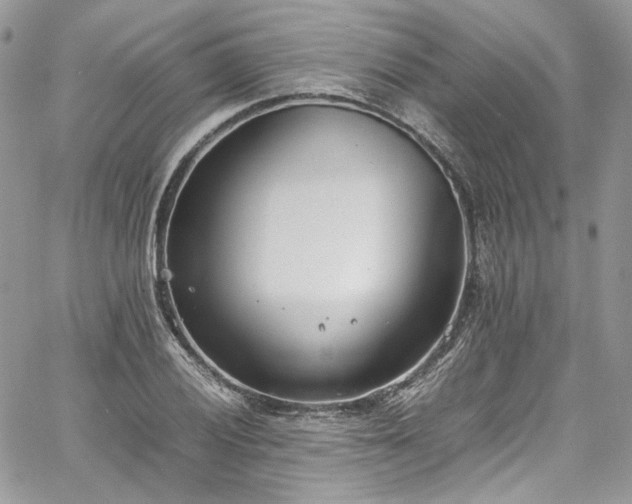 X0000067951028200604201426