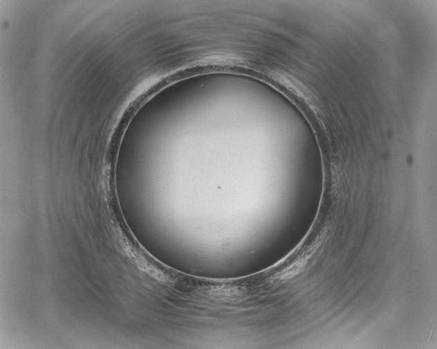 X0000067951029200604201426