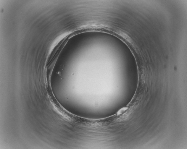 X0000067951030200604201426