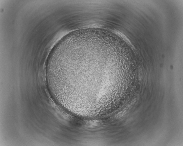 X0000067951031200604201426