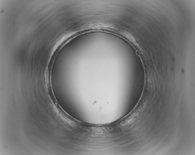 X0000067951032200604201426