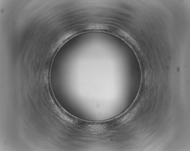 X0000067951033200604201426