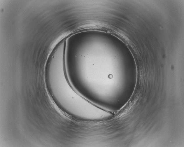 X0000067951034200604201426