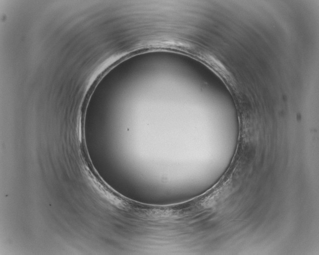 X0000067951036200604201426