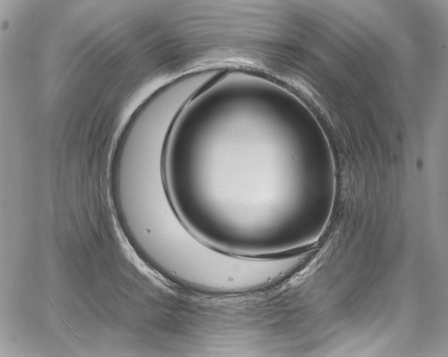 X0000067951038200604201426