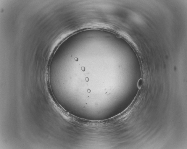 X0000067951040200604201426