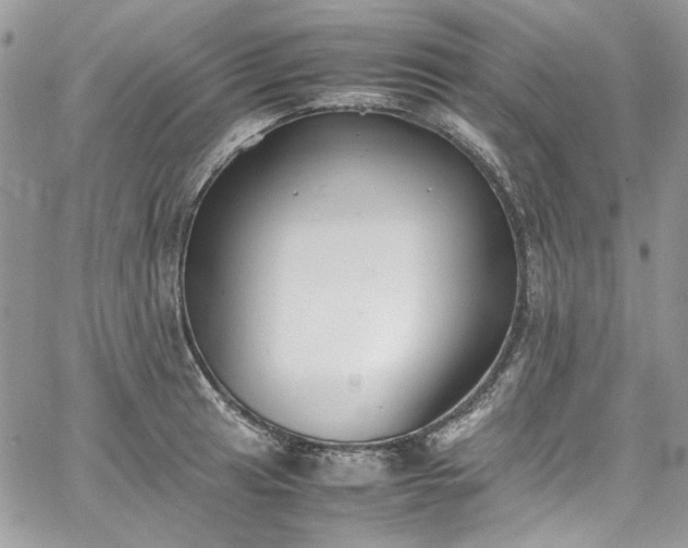 X0000067951041200604201426