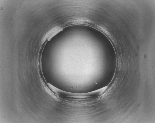 X0000067951042200604201426